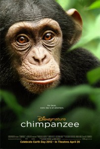 chimpanzee-poster