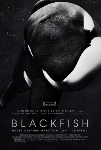 blackfish-poster